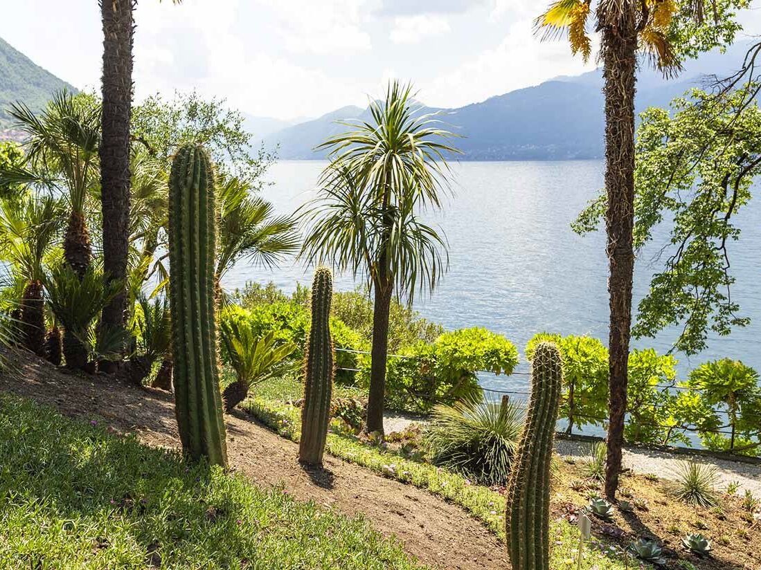 Picture of Hotel Villa Cipressi - Botonical Gardens