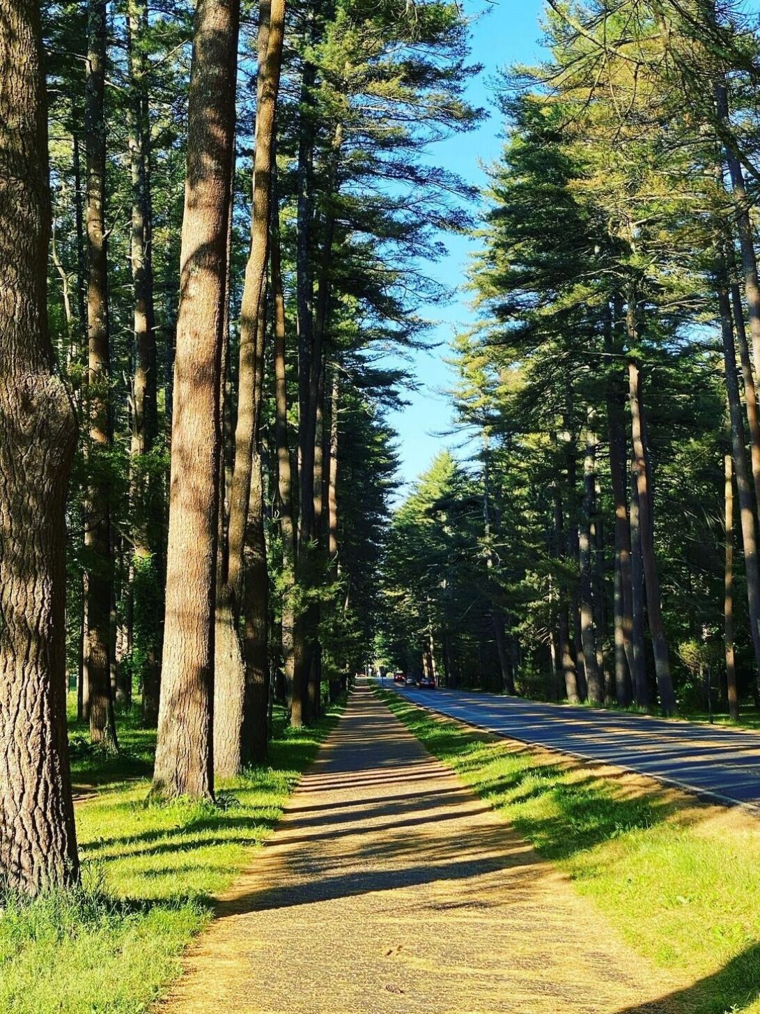 Picture of Saratoga Spa State Park