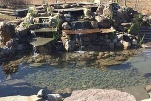 Picture of Cape Fear Vineyards & Winery