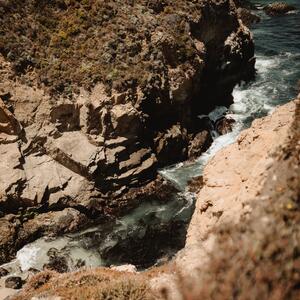 Gallery Photo 51