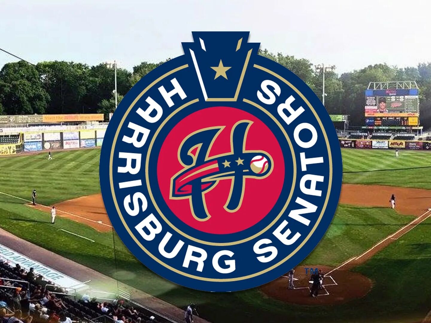 Picture of Harrisburg Senators