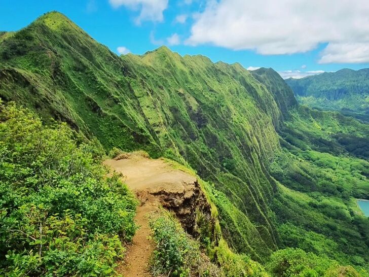 Picture of Kuli‘ou‘ou Ridge Trail