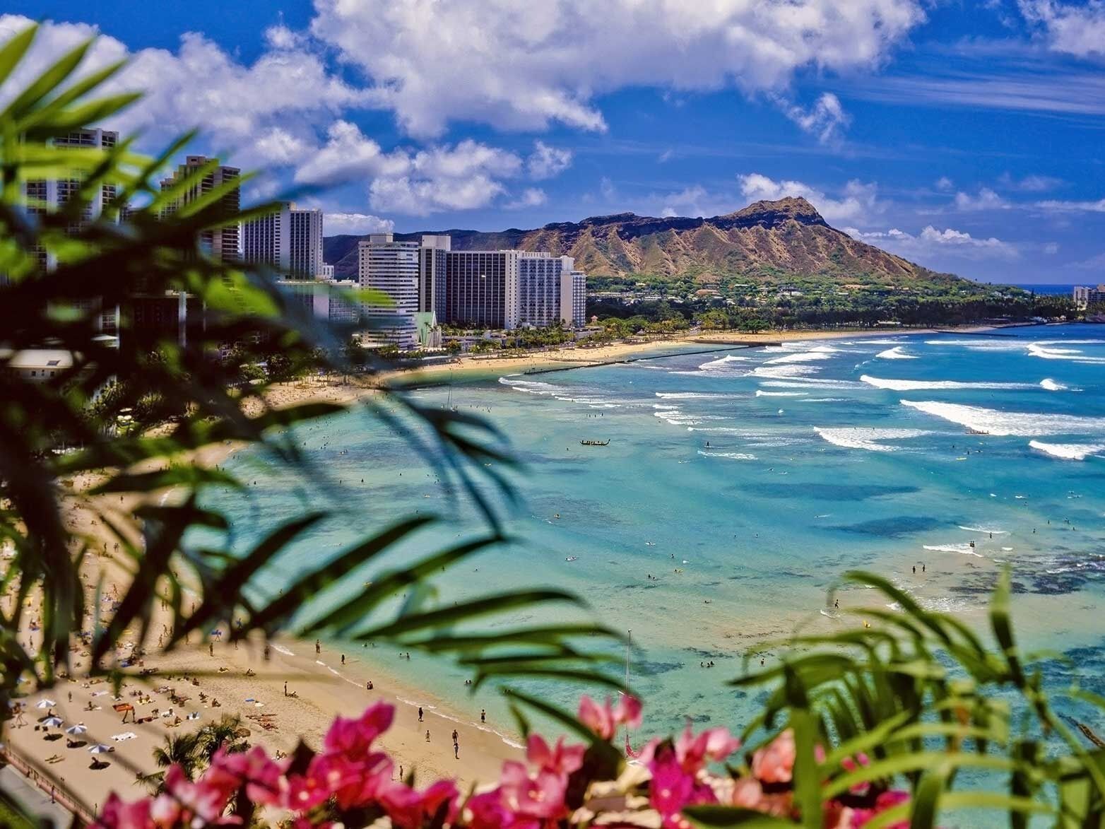 Picture of Waikiki Beach