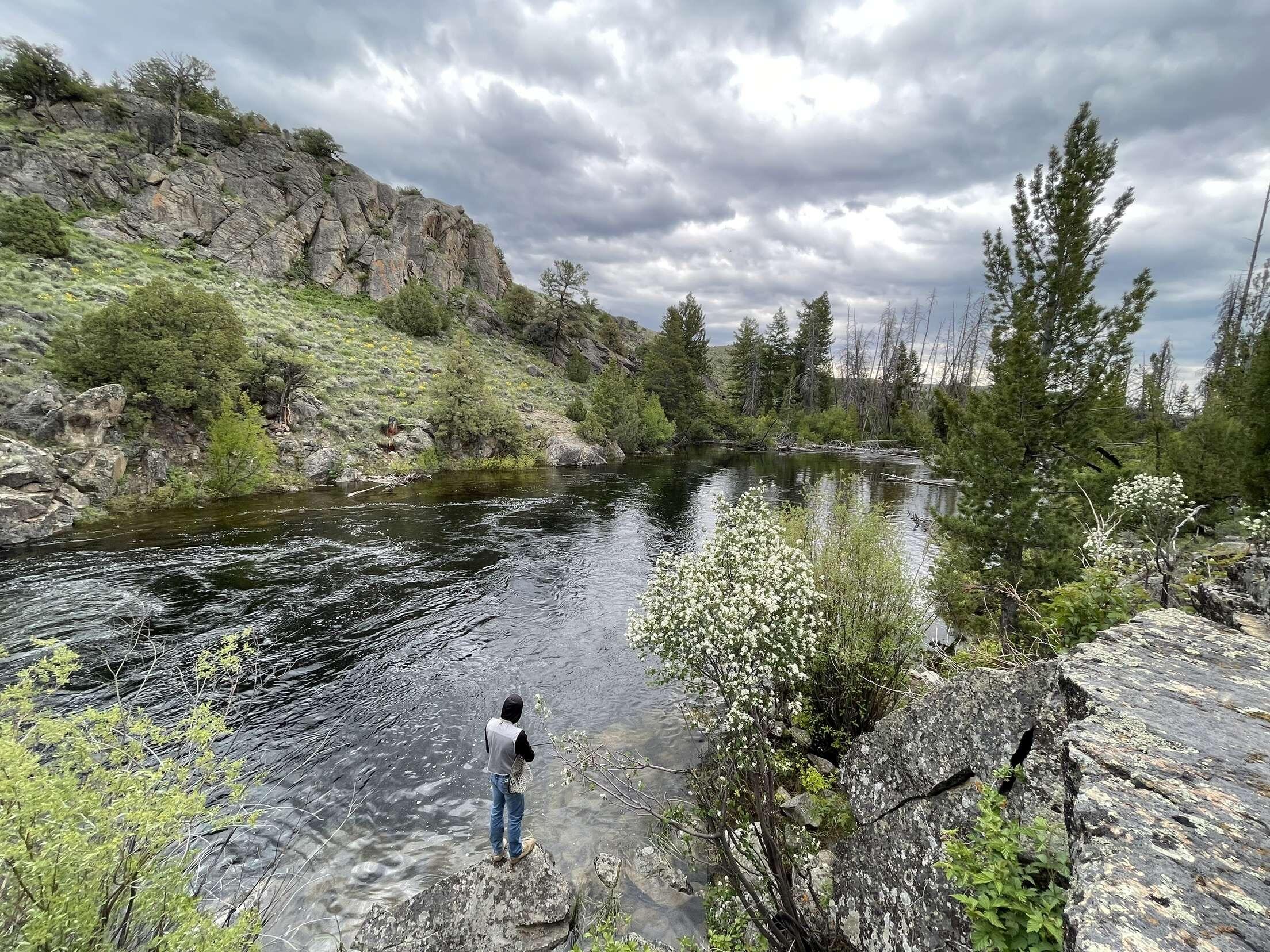 Picture of Fishing 