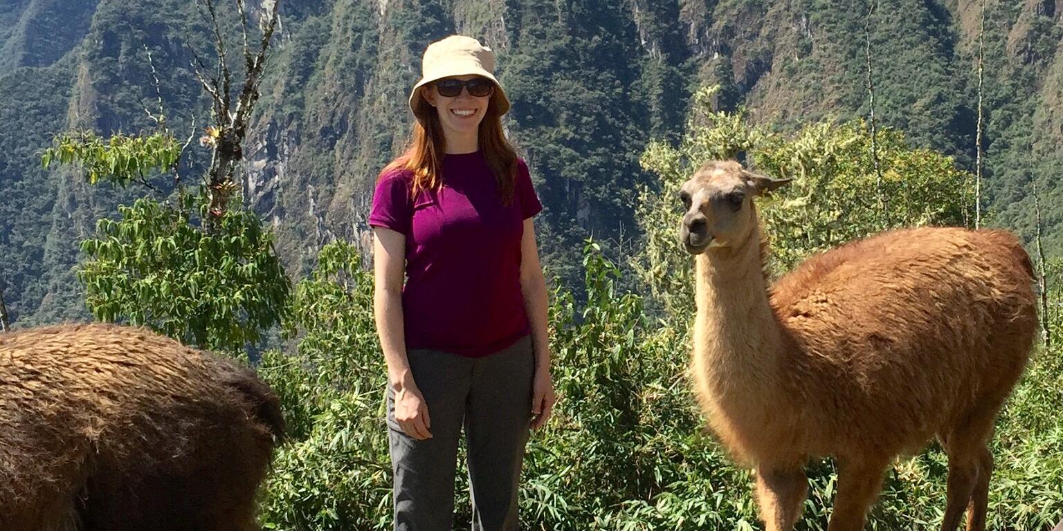 Picture of A Tale of Two Llamas