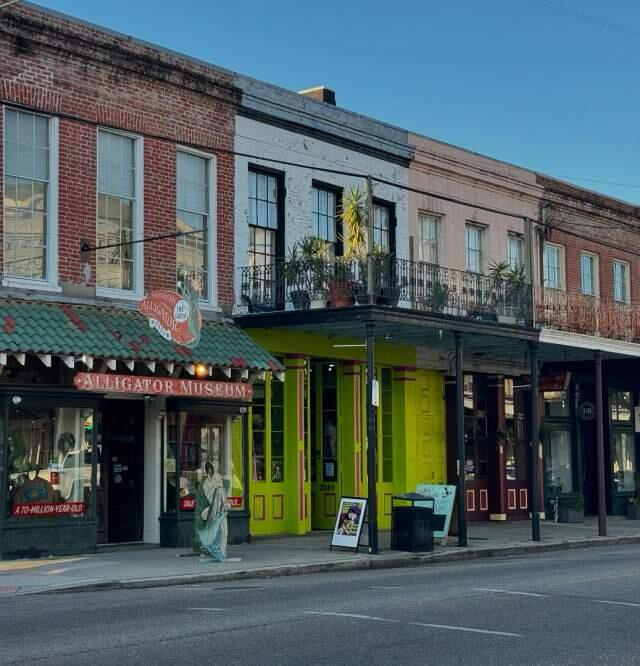 Picture of Shopping on Magazine St.