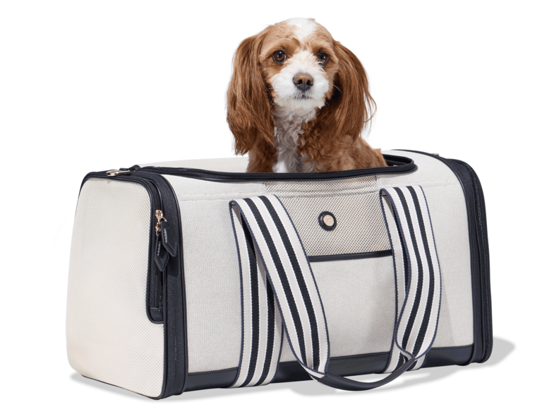 Cute pet carrier from Paravel for your road trip