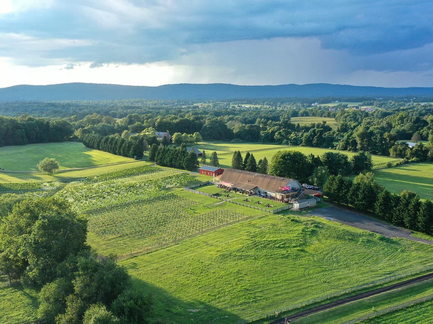 Picture of Loudoun County Wineries & Breweries