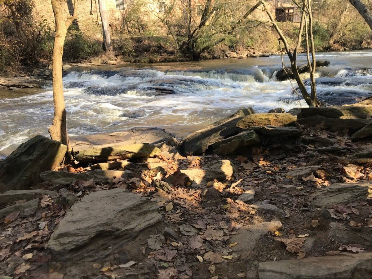 Picture of Old Mill Park