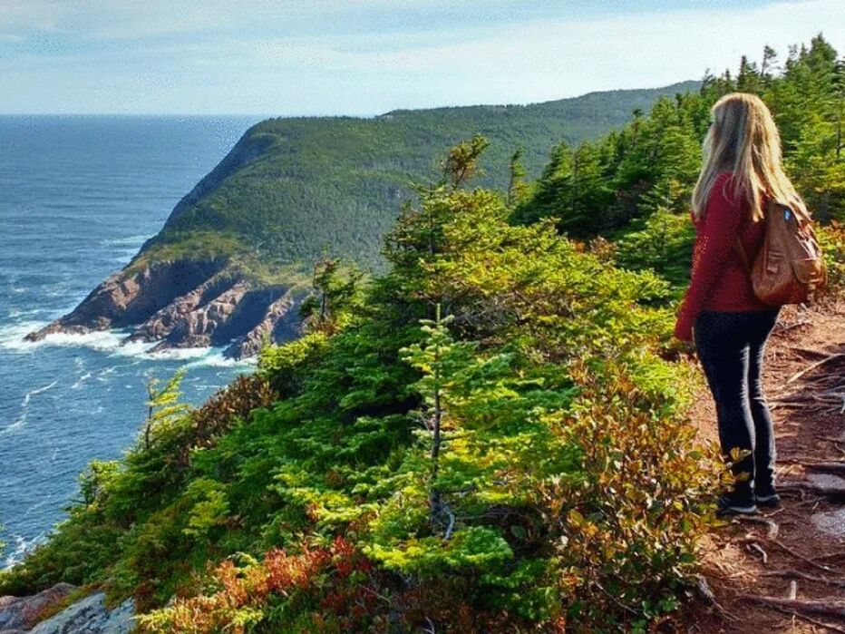 Picture of East Coast Trail