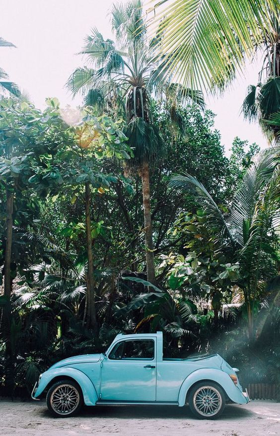 Picture of Tulum, Mexico