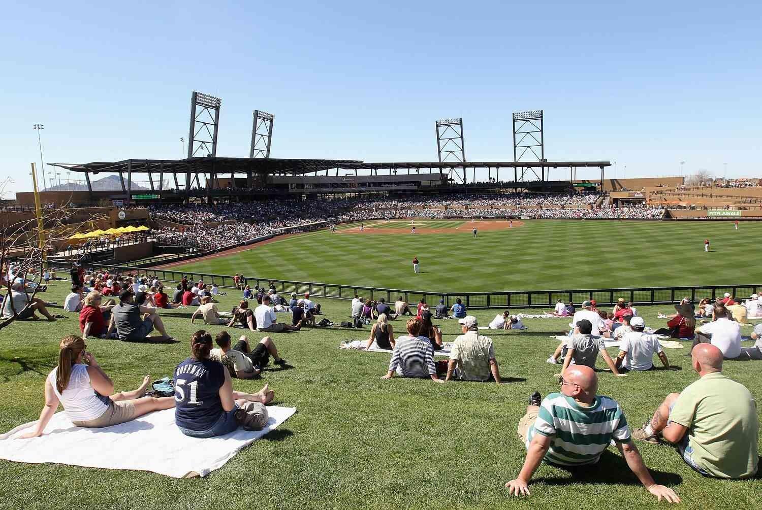 Picture of Cactus League Spring Training