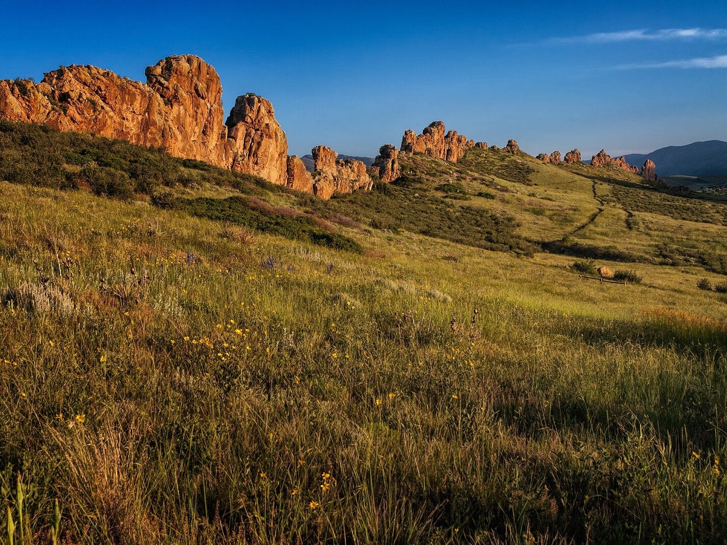 Picture of Devil's Backbone Open Space