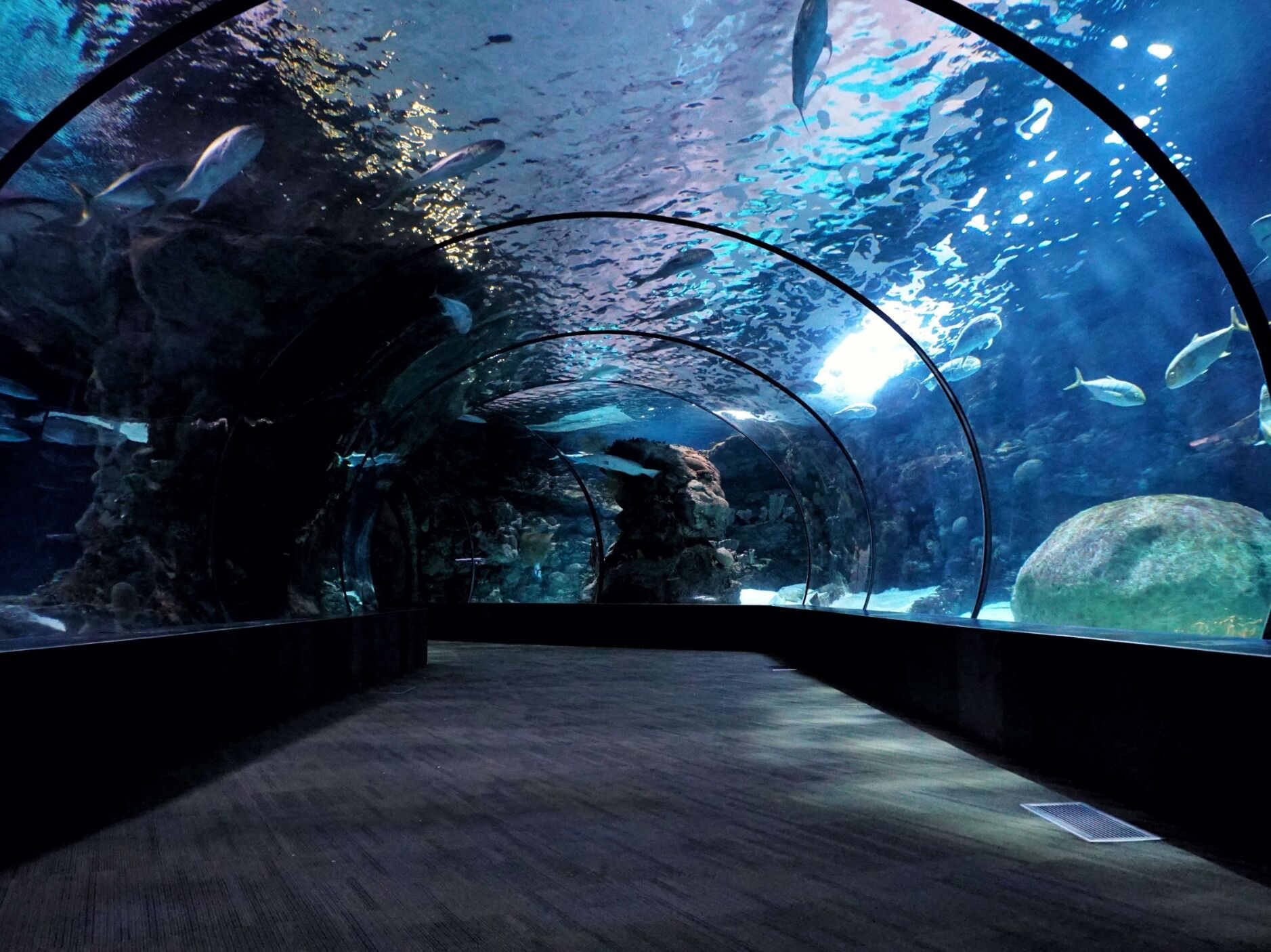 Picture of Oklahoma Aquarium