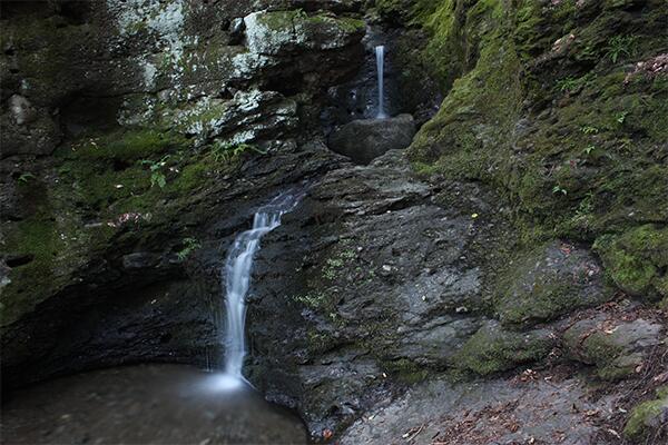 Picture of Mount Toby State Forest