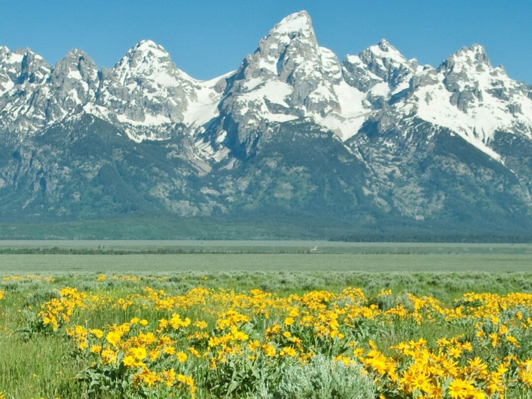 Picture of Grand Teton National Park