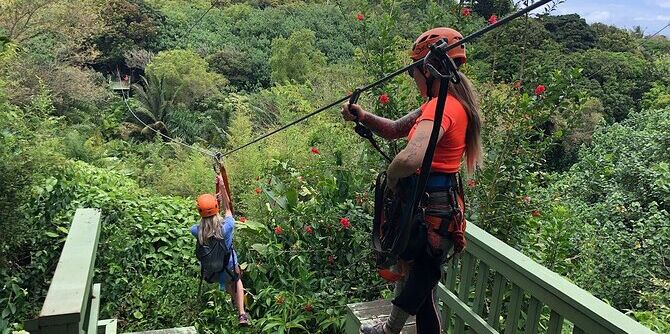 Picture of Zipline and Eco Tour