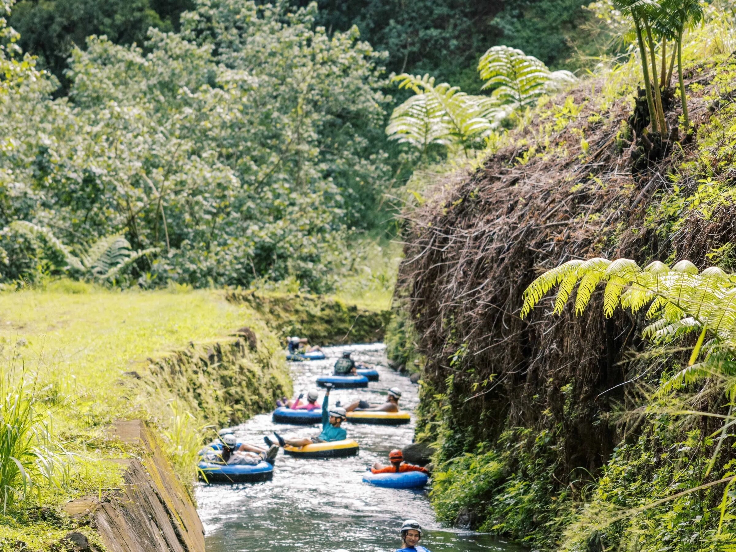 Picture of Mountain Tubing