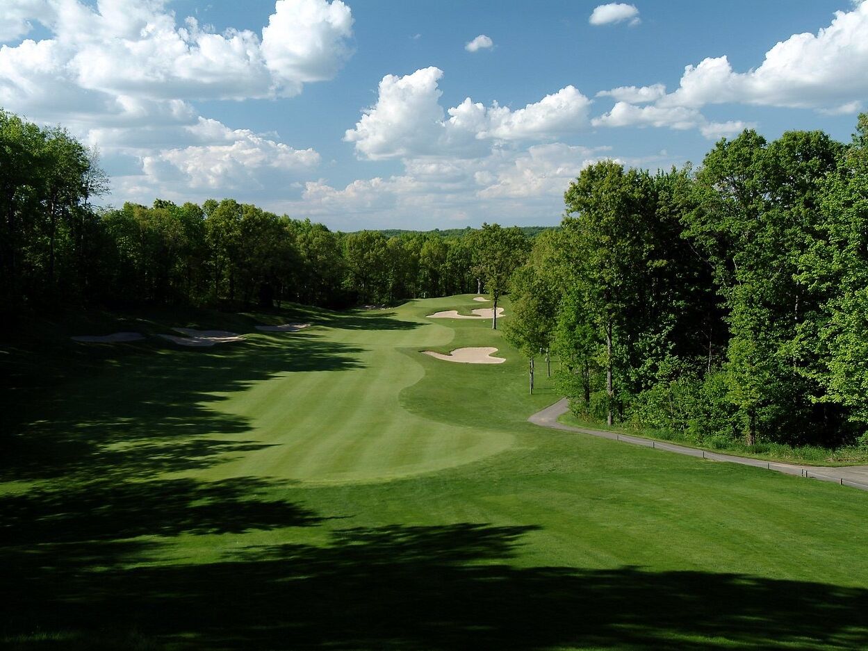 Picture of Go Golfing