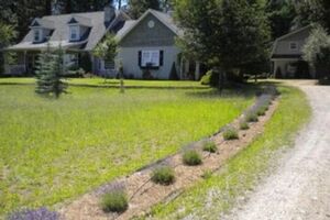 Picture of Half Moon Bed & Breakfast