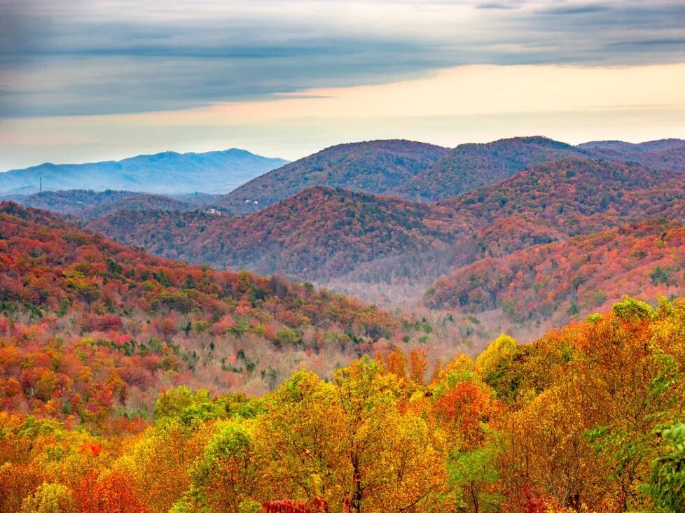 Picture of Great Smoky Mountains National Park