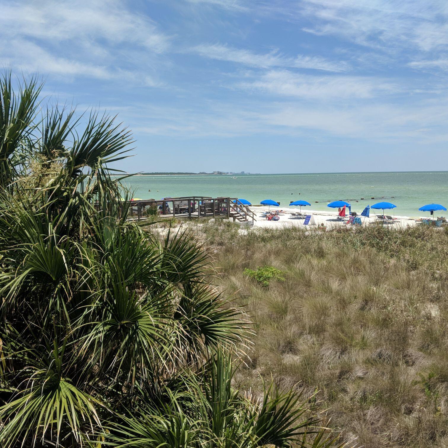 Picture of Honeymoon Island State Park