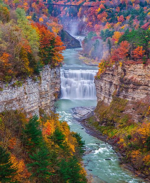 Picture of Letchworth State Park