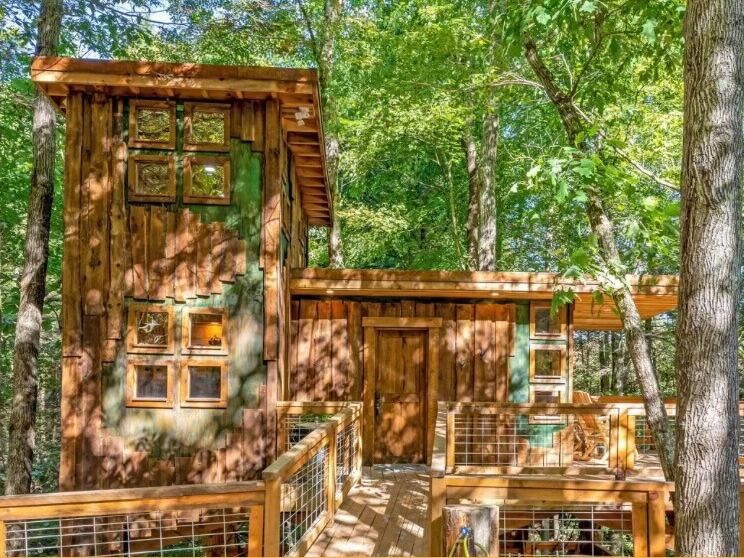Picture of Amazonia Treehouse