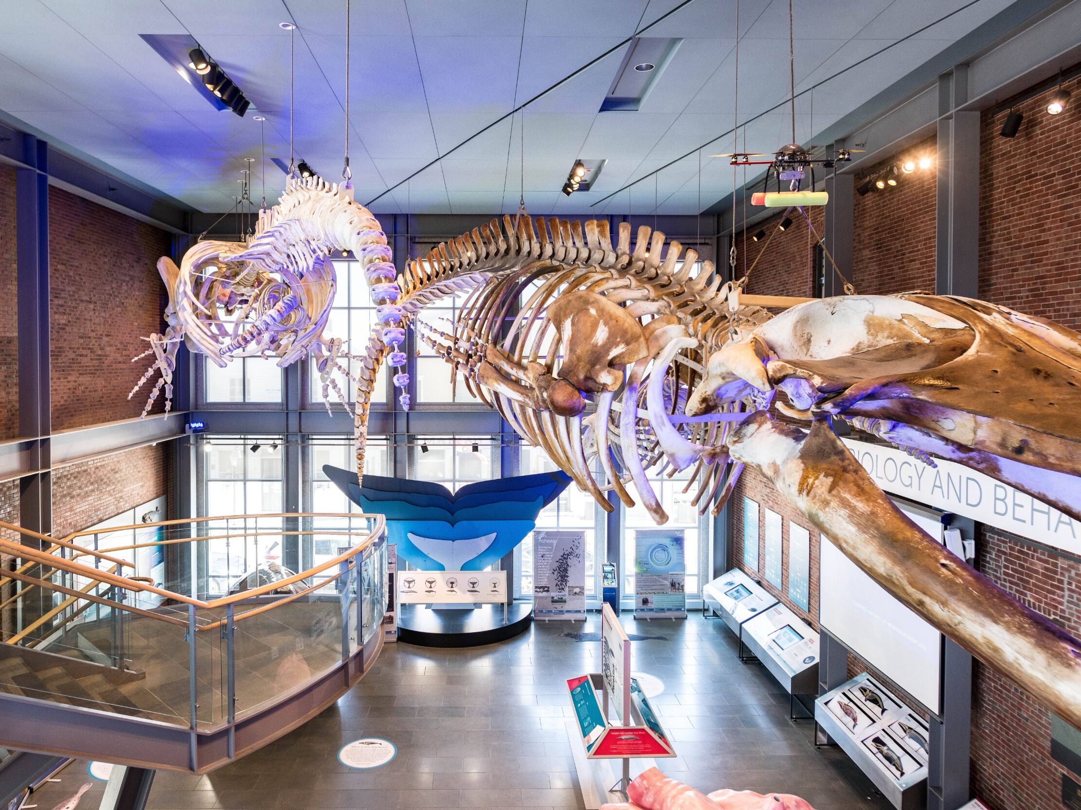 Picture of New Bedford Whaling Museum