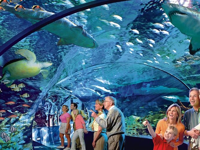 Picture of Ripley's Aquarium of the Smokies