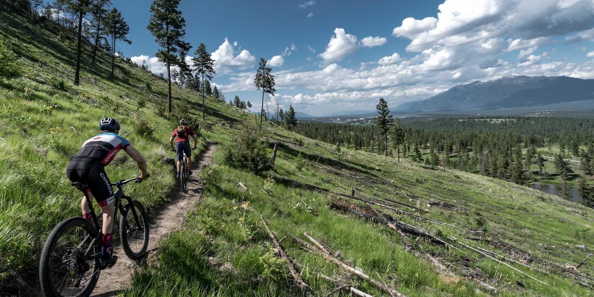 Picture of Cranbrook Community Forest
