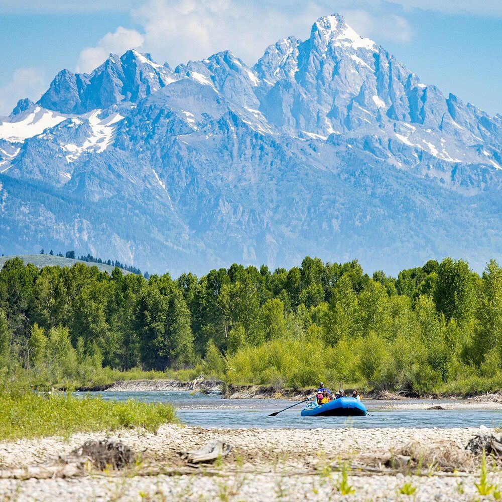 Picture of Scenic Wildlife Float