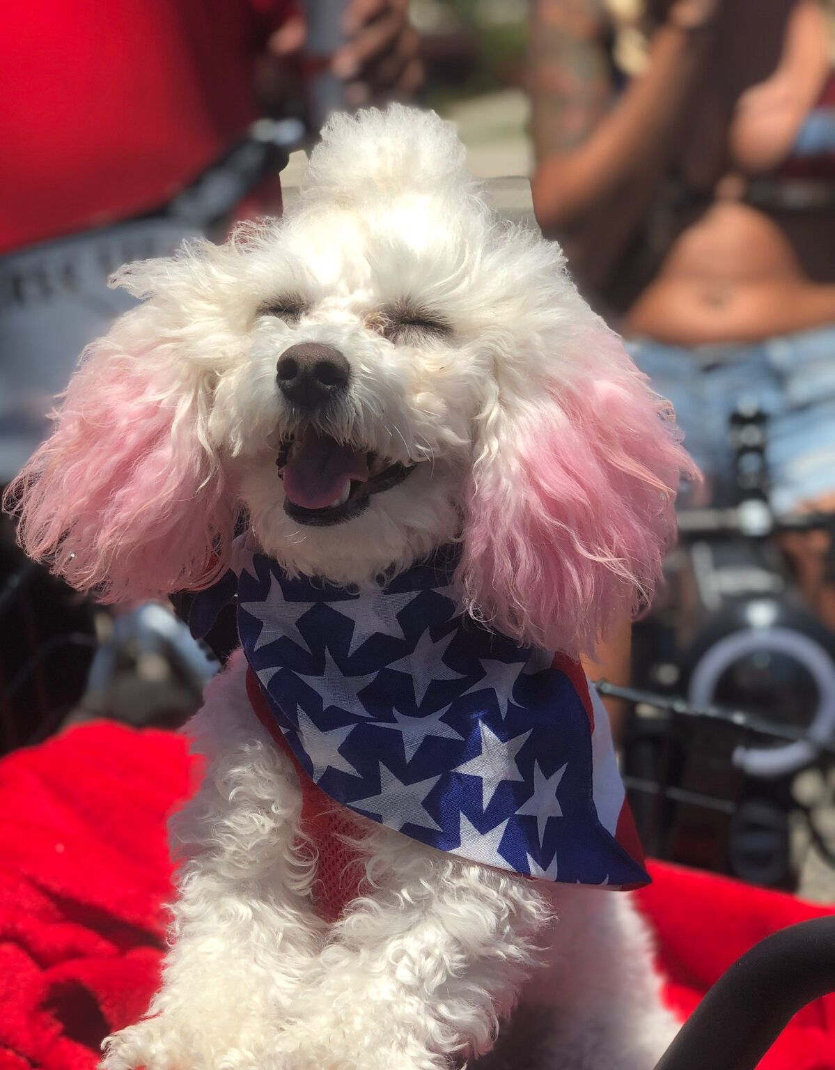 Picture of 4th of July - Huntington Beach, CA 