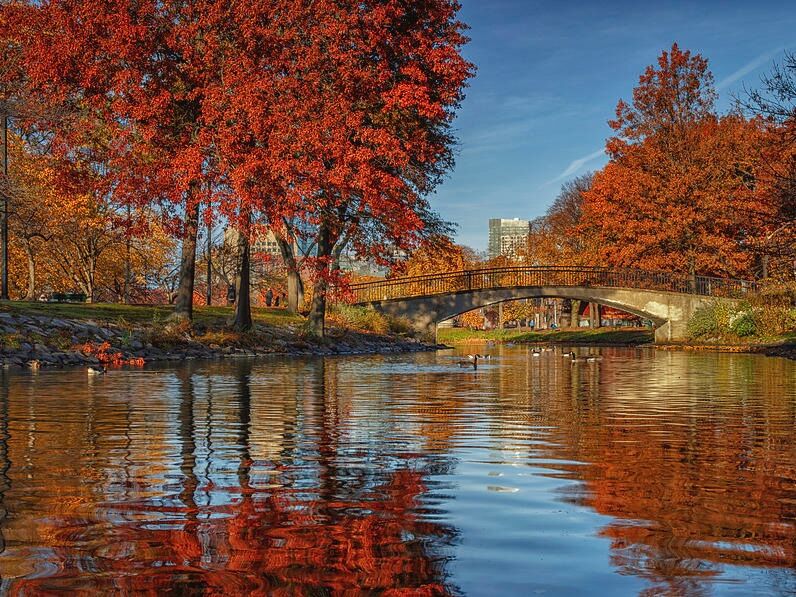 Picture of Charles River Esplanade