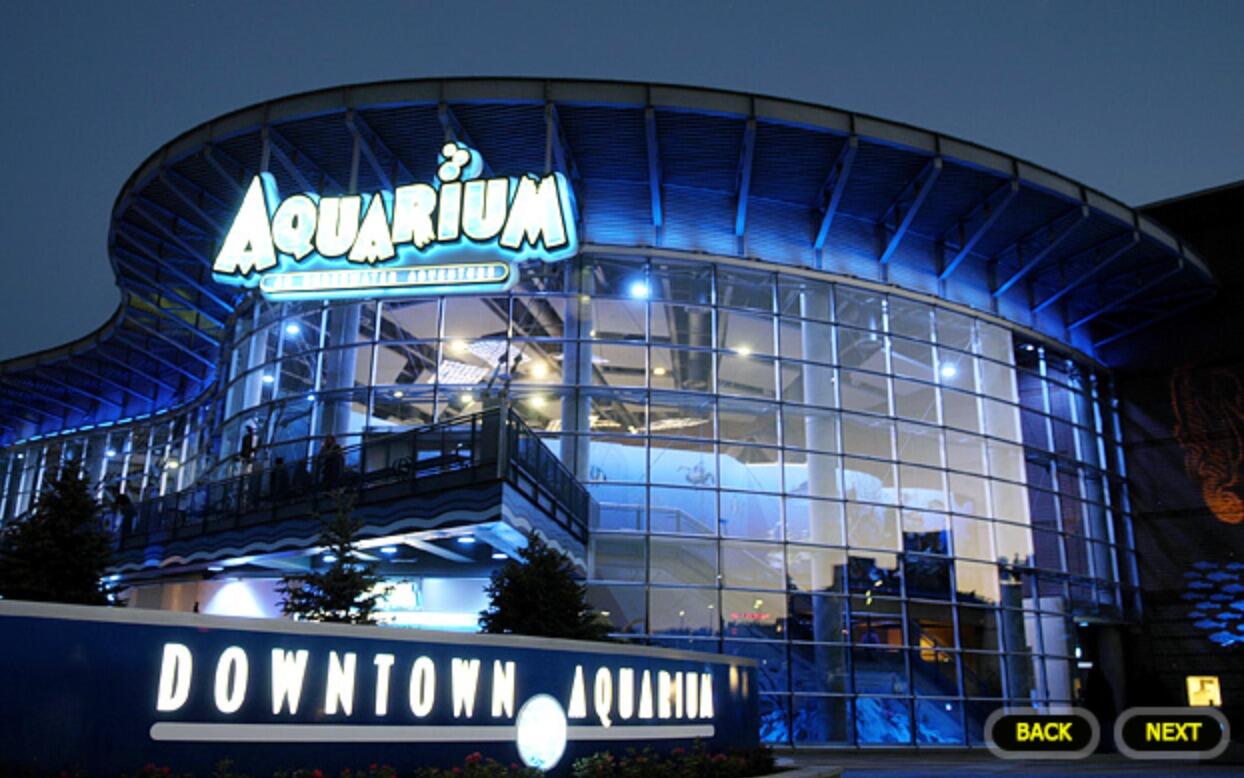 Picture of Downtown Aquarium