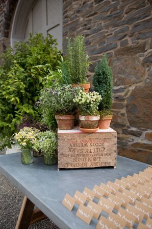 Potted Plant and Vintage Crate Display