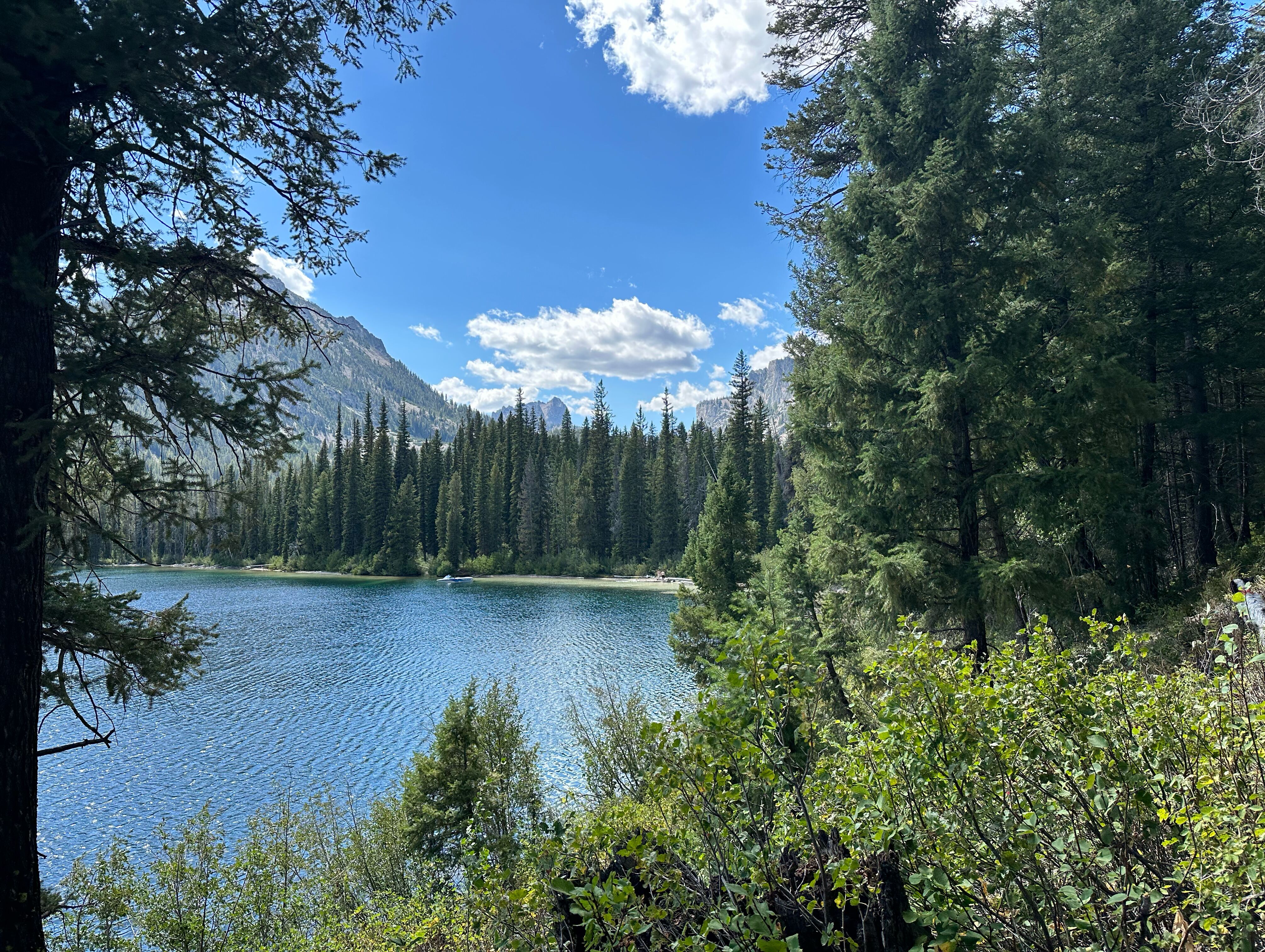 Picture of Resfish Lake Lodge