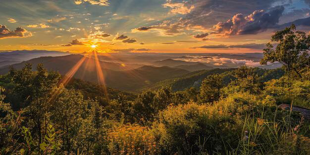 Picture of Paris Mountain State Park