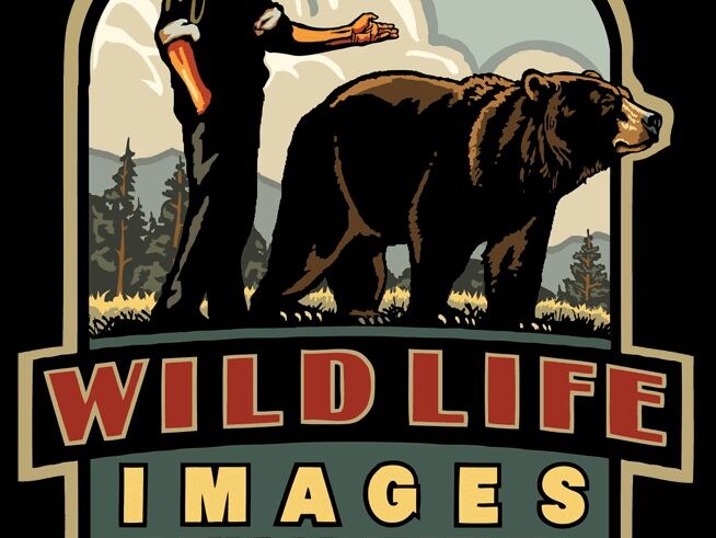 Picture of Wildlife Images Rehabilitation and Education Center