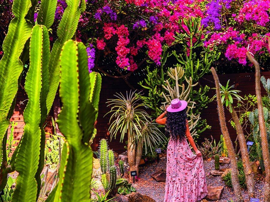 Picture of Sunken Gardens