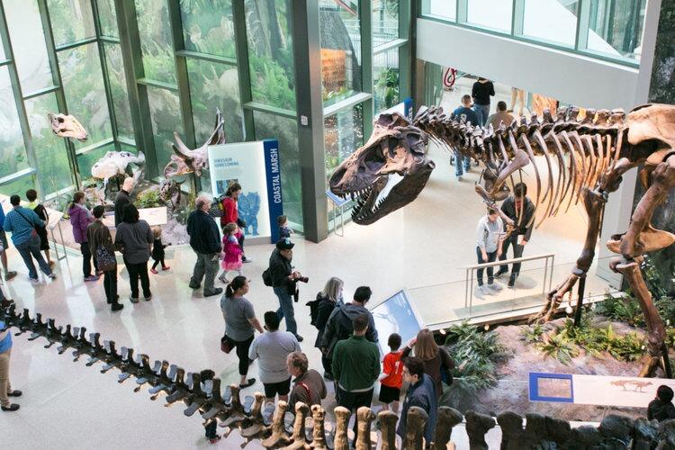 Picture of Witte Museum