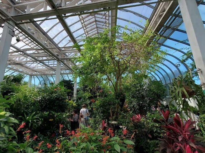 Picture of The Key West Butterfly and Nature Conservatory