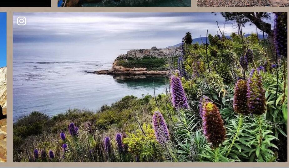 Picture of Avila Beach
