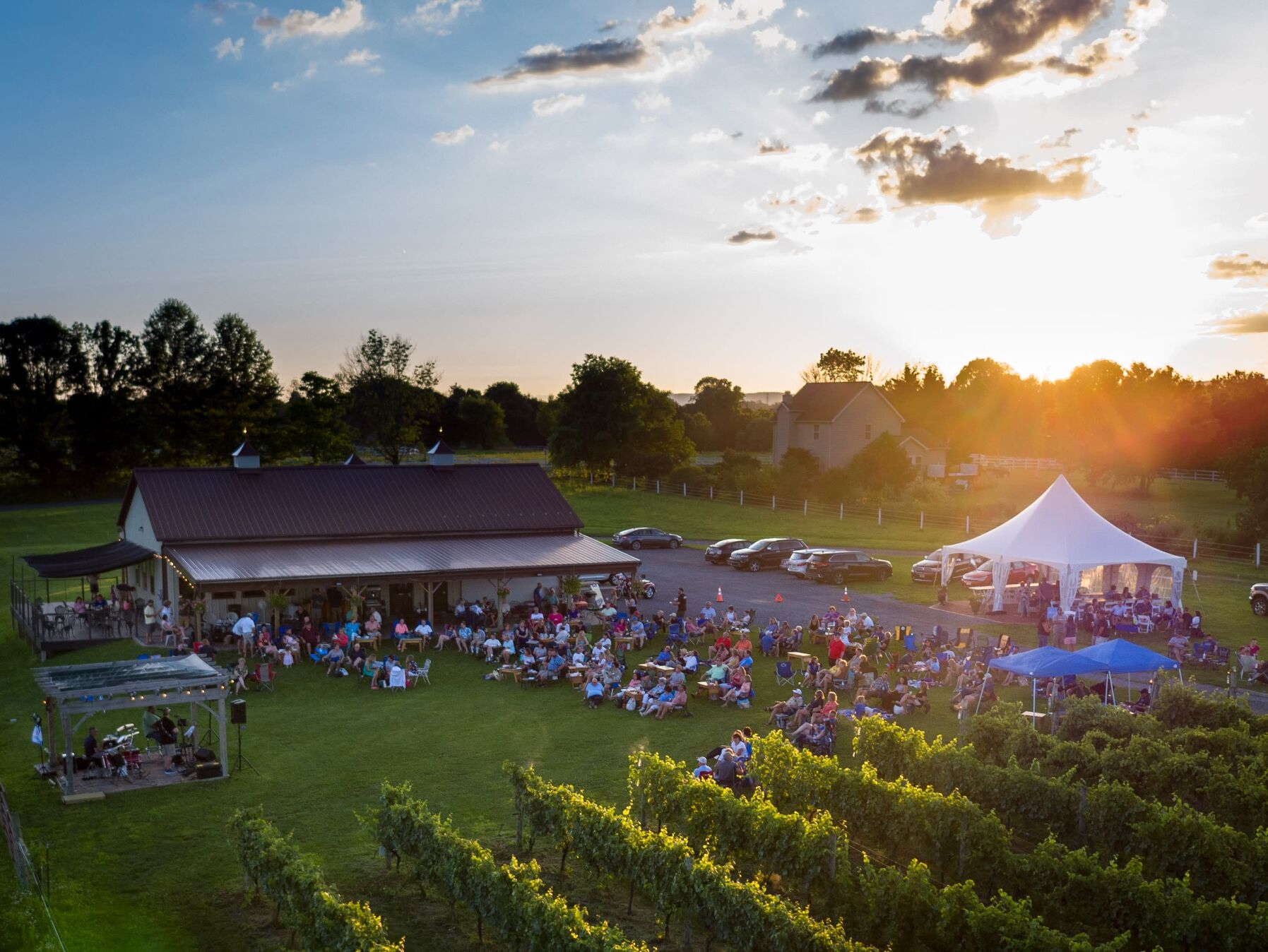 Picture of Cassel Vineyards of Hershey