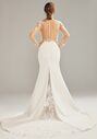 AW Bridal AW Roselyn Wedding Dress Mermaid Wedding Dress - thumbnail - 3