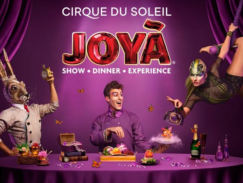 Picture of Cirque du Soleil Theater in Vidanta Riviera Maya