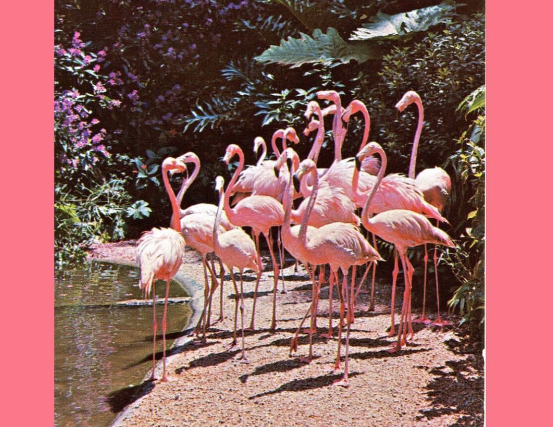 Picture of Sunken Gardens 