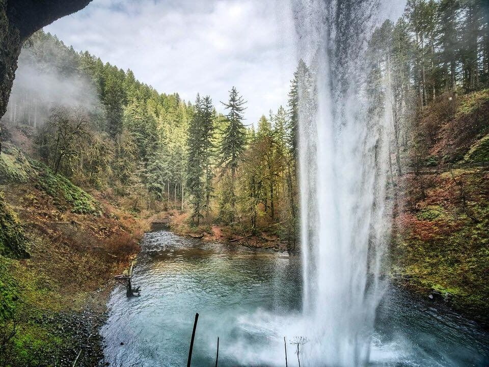 Picture of Silver Falls State Park