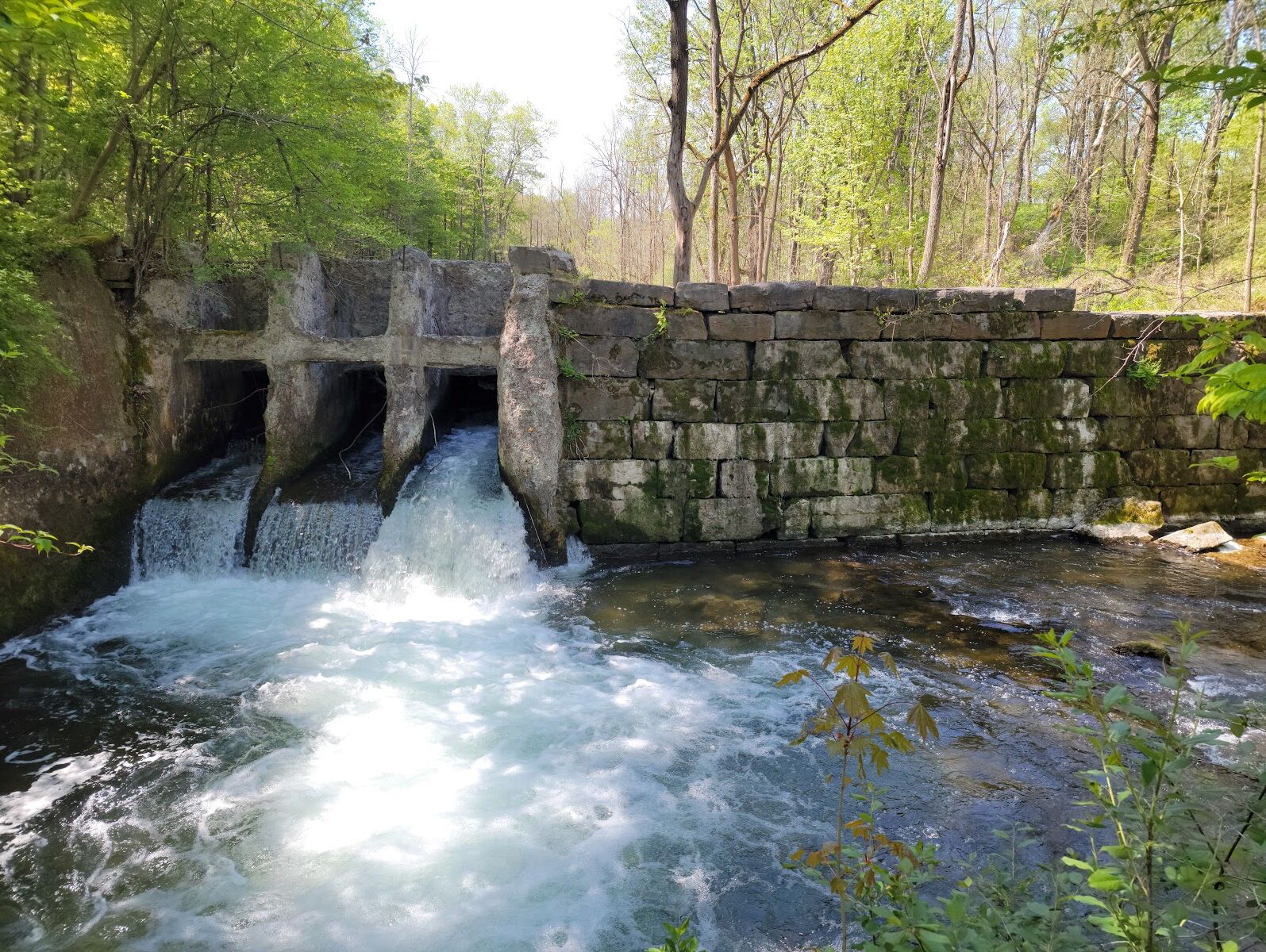 Picture of Hike Local Trails