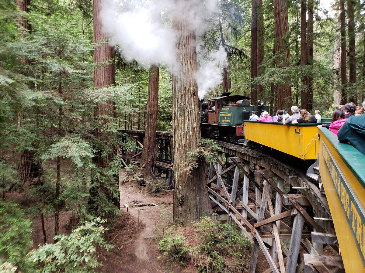 Picture of Roaring Camp